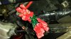 20150204_141956.jpg