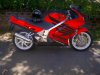 Red Black with stickers.jpg