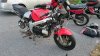 DSC_0043.jpg
