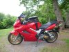 at Button Hollow Illinios river access.jpg