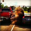 SLIDE-7-Coal-Smoke.jpg