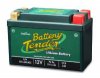 LiFePHBattery.jpg