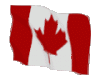canadaa.gif