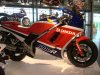 DSC03939.jpg