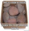 Box Of Rocks.jpg