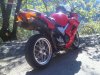 IMG00446-20111017-1302.jpg