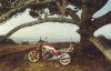 cb400nc5.jpg