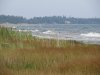 IMG_2223.jpg