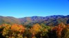 IMG_0138.jpg
