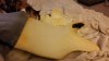 Shaved Seat After Sanding.jpg