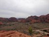 IMG_2845.jpg