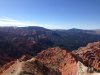 IMG_2857.jpg