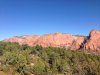 IMG_2878.jpg