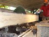 DSC01565.jpg