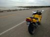 IMG_20151114_120113356.jpg