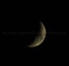 Watermarked Moon.jpg