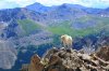IMG_0183.jpg