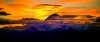 Denali Sunset.jpg