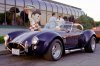 Cobra0404.jpg