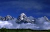 Tetons Cat Group w clouds.jpg