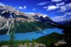 Canadian Rockies 4.jpg