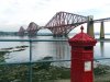 IMGP0519.jpg