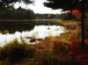 pond_glow_800.jpg