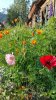 20150805_090507.jpg
