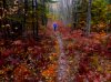 redpath_800.jpg