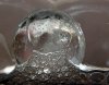 00072 Within the Bubbles.jpg