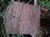 2016 01 17 VCDOC CCT bird house 1.jpg