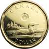 Canadian_Dollar_-_reverse.png