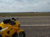 IMG_20160119_131517427.jpg