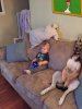 sit.jpg