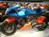 DSC03891.jpg