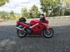 IMG_2416.jpg