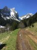 IMG_0543.jpg