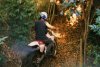 yz250.jpg