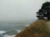 IMG_20160528_130706063.jpg
