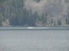 DSC04201.jpg