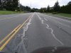 DSC01890.jpg