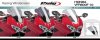 puig racing screen.jpg