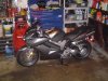 DSC02826.jpg