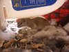 IMG_0007---#1.jpg