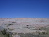 100_4105.jpg