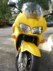 yellow.jpg