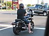IMG_08331.jpg