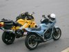 08 dragon pics 009.jpg
