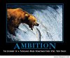 Ambition.jpg