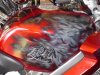 DSC01404.jpg